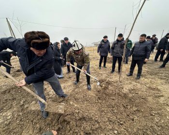 599428493_1201879808797581_1240997389385510763_n