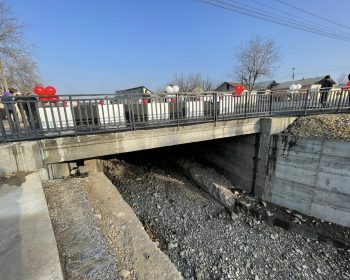 611149752_1217467167238845_6805746181129551596_n