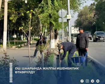 673371321_1675593810351255_5190652948062785735_n