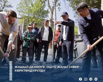 673628919_798736796327193_8621540891237797547_n