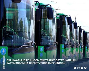 801101887_1420210506964509_2958316965466792236_n — копия